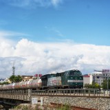 DSC00395-01a595a6c229c5ccda